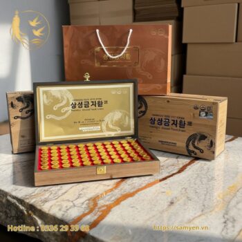 An Cung Samsung Gum Jee Hwan Hàn Quốc