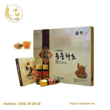 Bộ 15 chai Nước Đông Trùng Korea Insam Hàn Quốc