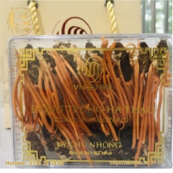 Hộp 20 Con Đông Trùng Hạ Thảo Nhộng VNHERBS