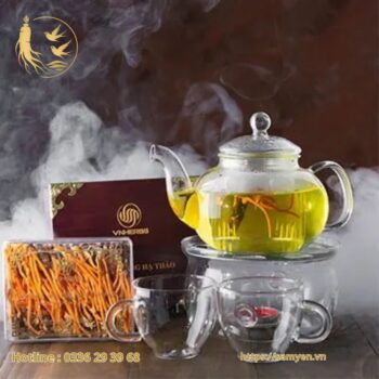 Hộp Gỗ 40 Con Đông Trùng Hạ Thảo Nhộng VNHERBS