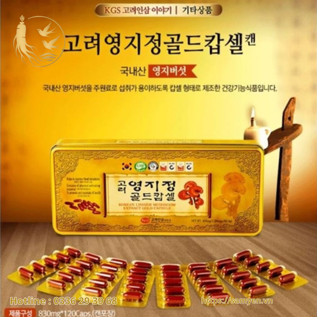 vien-chiet-xuat-nam-linh-chi-han-quoc-kgs-120-vien-x-830mg Viên Chiết xuất Nấm Linh Chi Hàn Quốc KGS 120 viên x 830mg