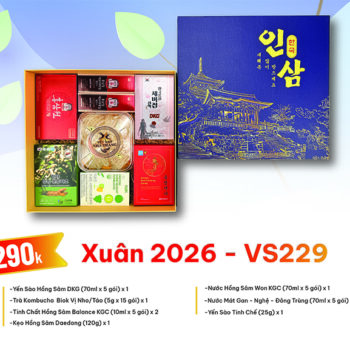 Quà Tặng Xuân 2026 - VS229