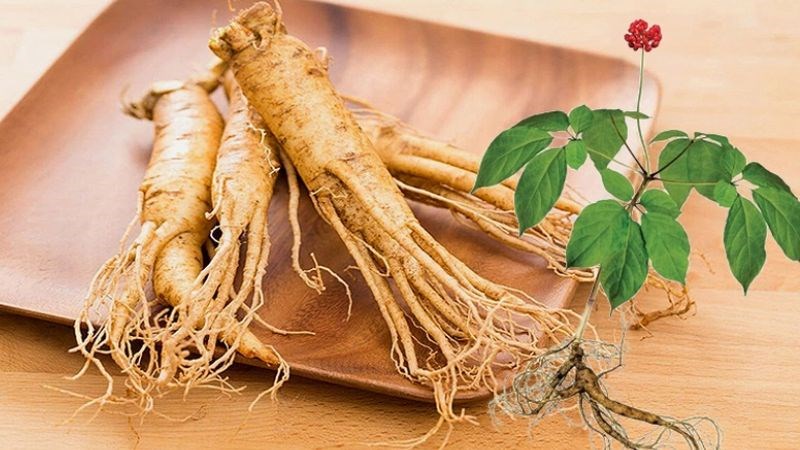 Nhân sâm Hàn Quốc là gì? Công dụng – phân loại – cách dùng – ai nên dùng