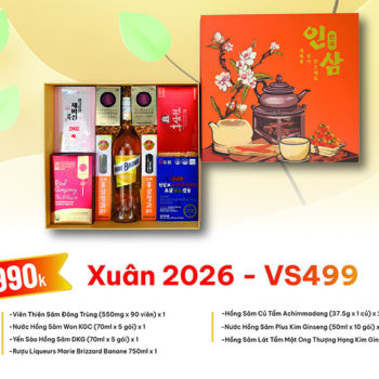 Quà Tặng Xuân 2026 - VS499
