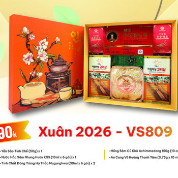 Quà Tặng Xuân 2026 - VS809