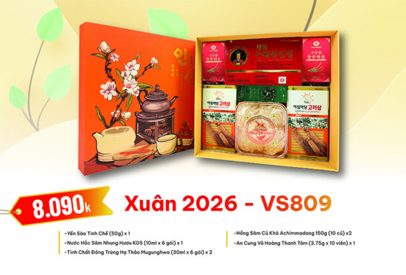 Quà Tặng Xuân 2026 - VS809